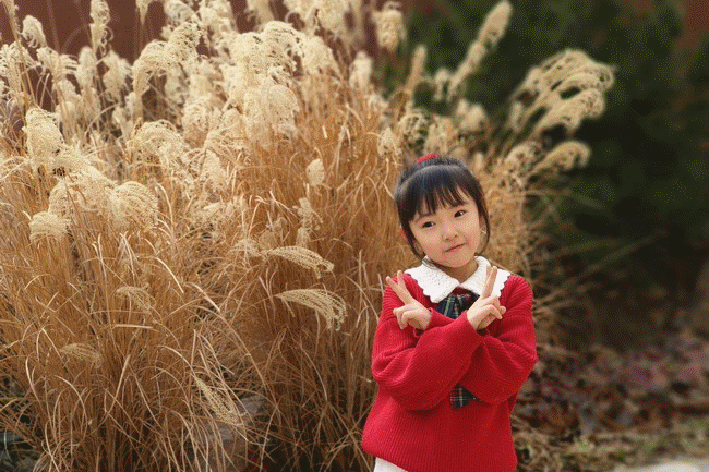 202402261038152148.gif ug05023a.gif