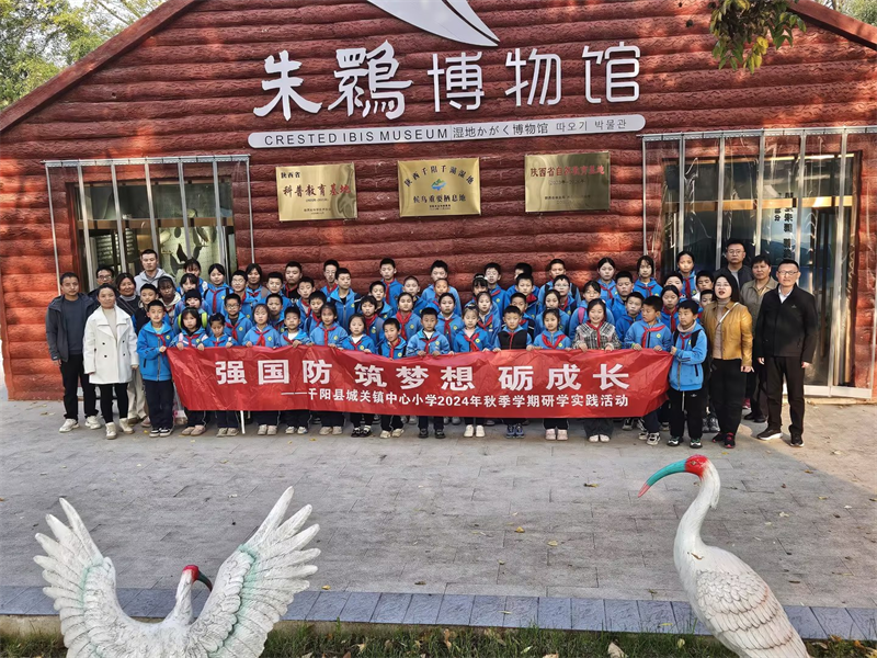 202411081908128081.png 圖片8.png