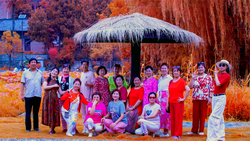 202411221816528467.png 圖片4.png