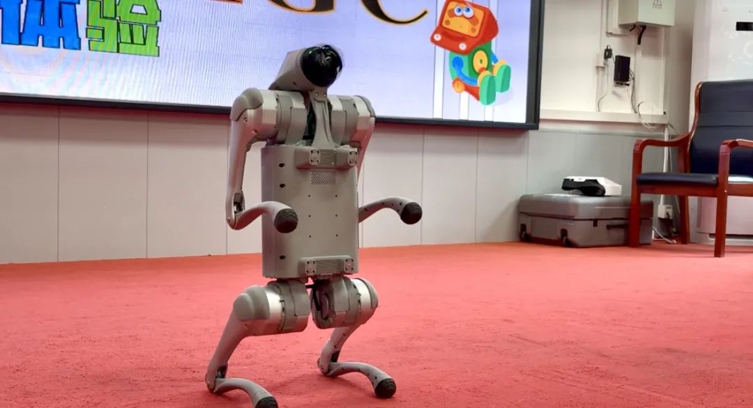 202503011902188858.jpg 640 (4).jpg