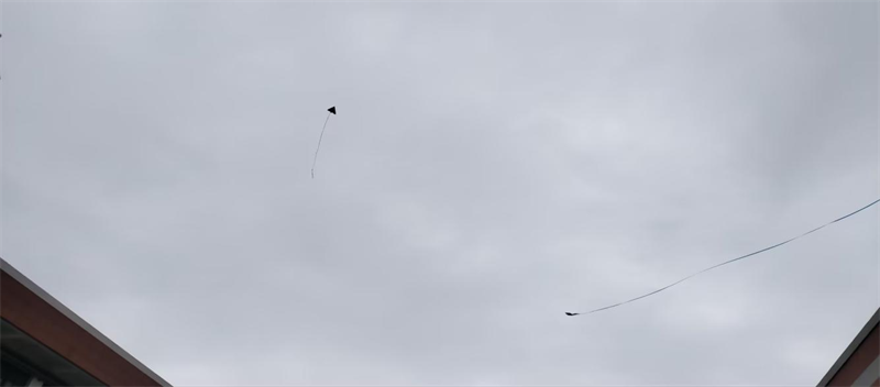 202503071738481206.png 圖片3.png