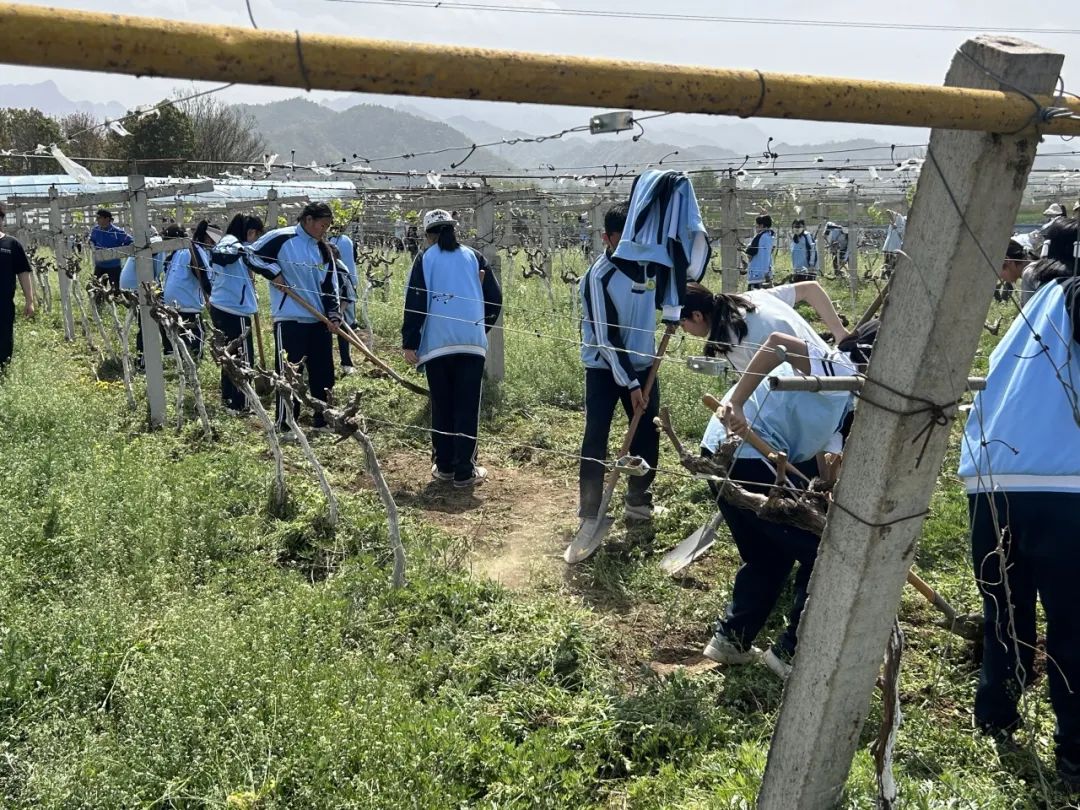 202504111709354676.jpg 640 (4).jpg