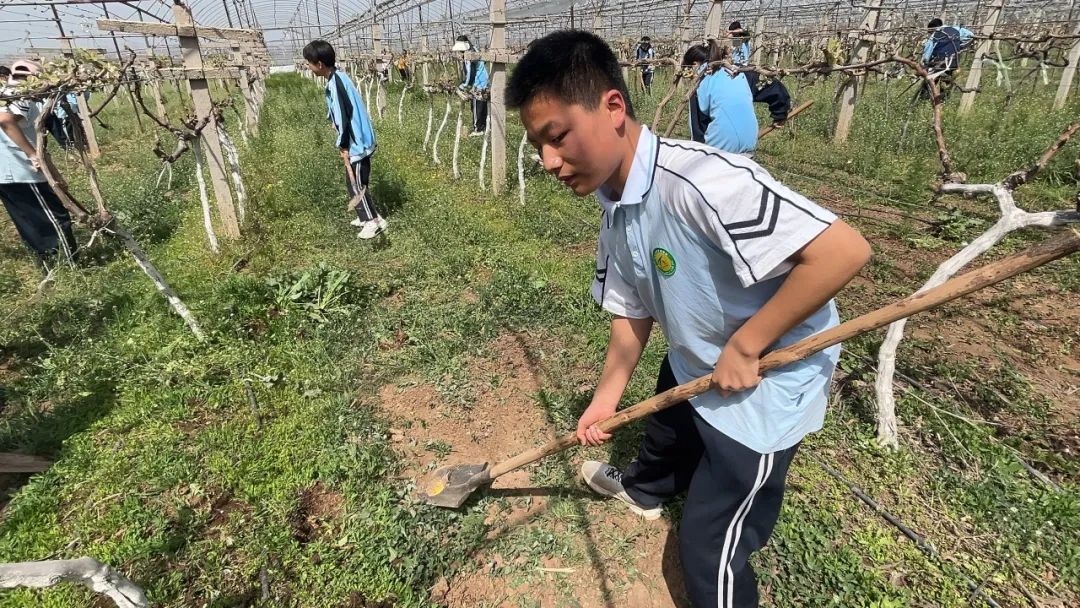 202504111709461213.jpg 640 (5).jpg