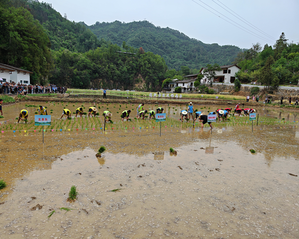 202505191721265189.jpg 6.jpg