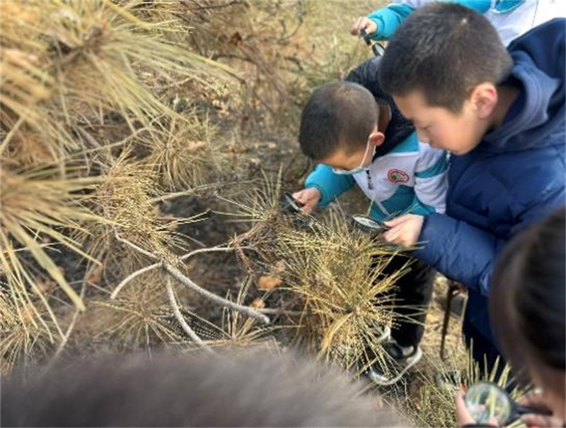 202505202202355619.jpg 20250520165041289-55-9dfb9.jpg