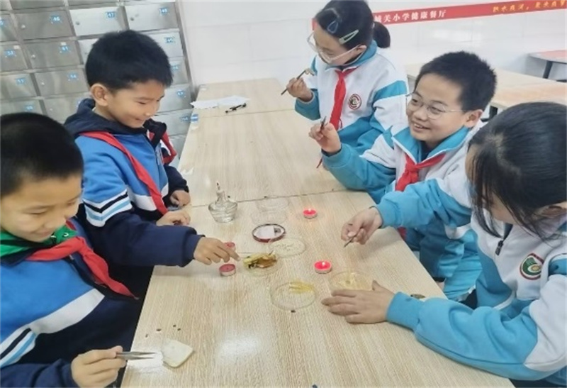 202505202202511721.jpg 20250520165041436-72-f1eaf.jpg