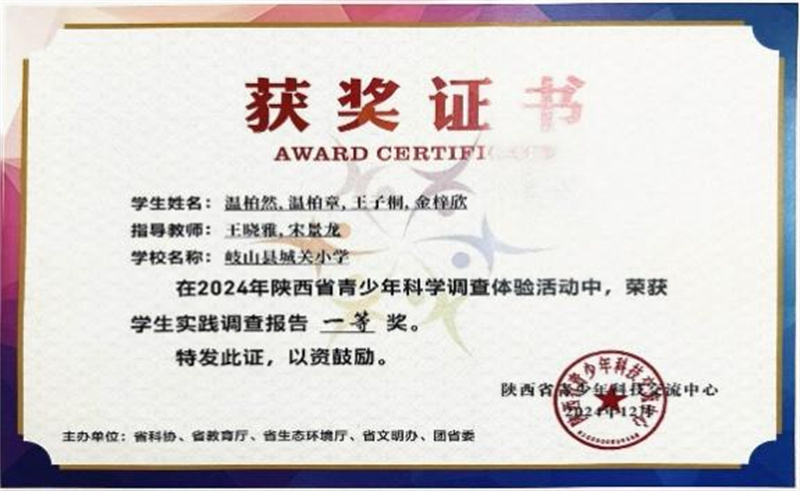 202505202203175832.jpg 20250520165041999-82-9b250.jpg