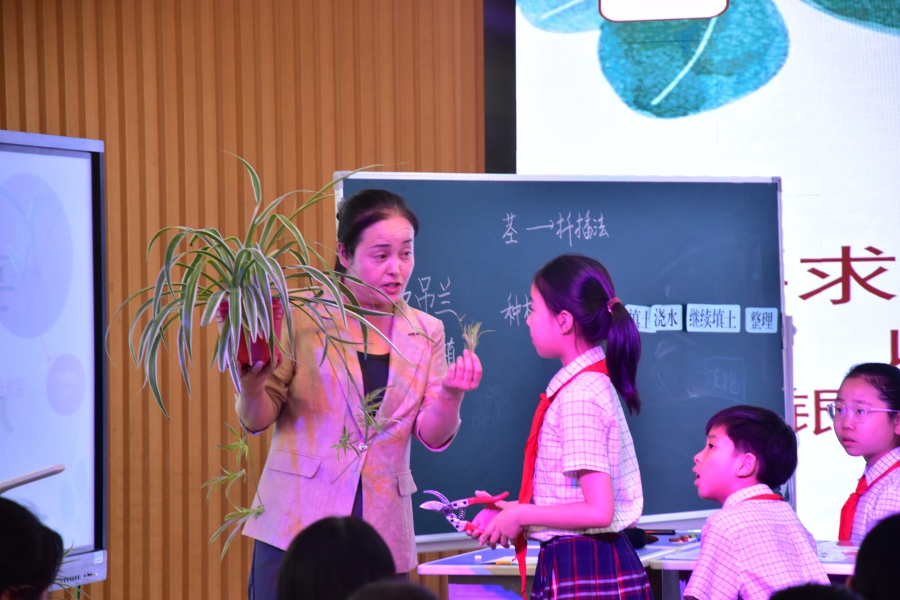 202505231656397590.png 圖片5.png