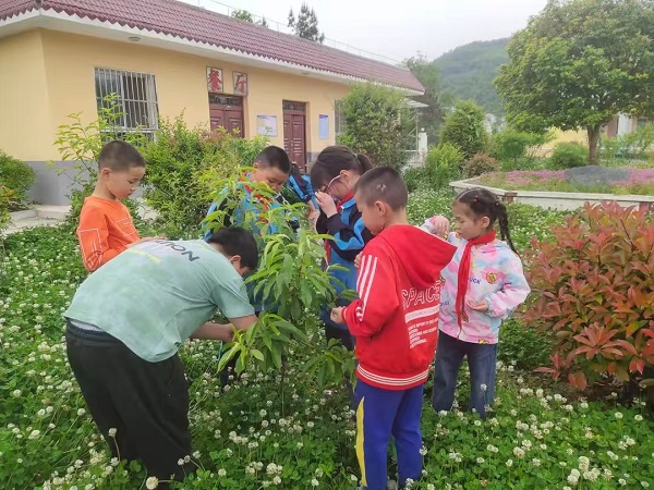 202505292322491409.jpg 18.jpg