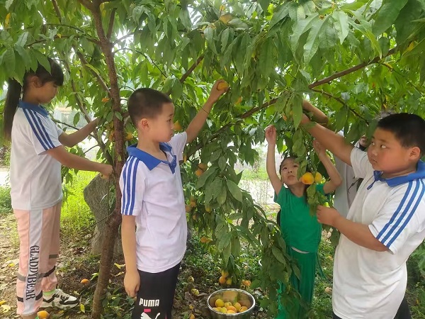 202505292325119651.jpg 24.jpg