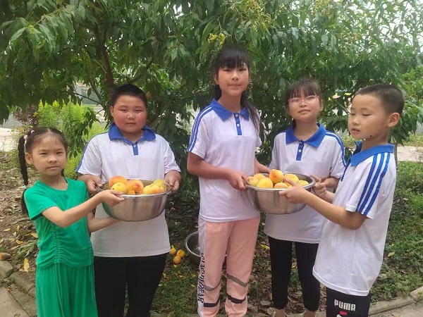 202505292328183703.jpg 25.jpg