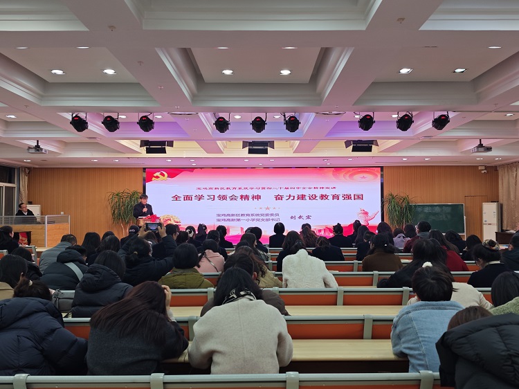 202512110833299170.jpg 2.jpg